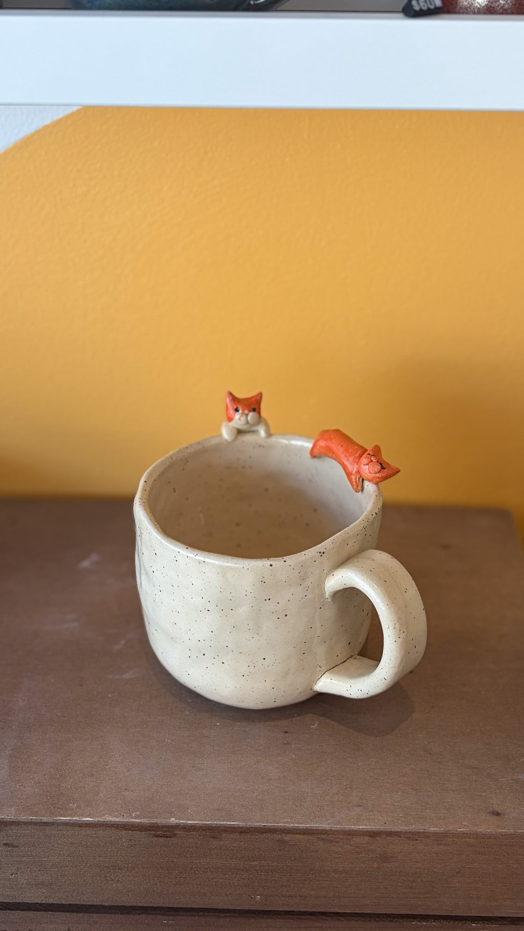 Saturday August 8: Kitty Cat Cup