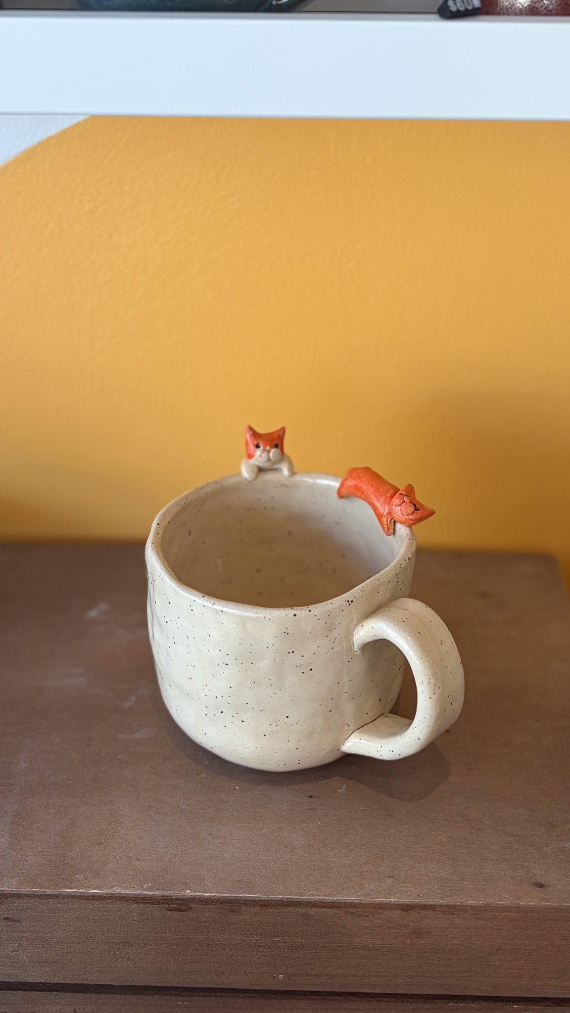 Saturday August 8: Kitty Cat Cup